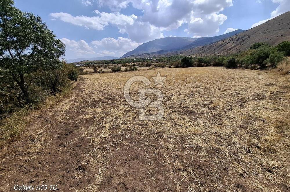 Erzincan Merkezde Satılık Tarla