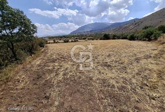 Erzincan Merkezde Satılık Tarla