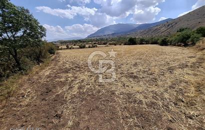 Erzincan Merkezde Satılık Tarla