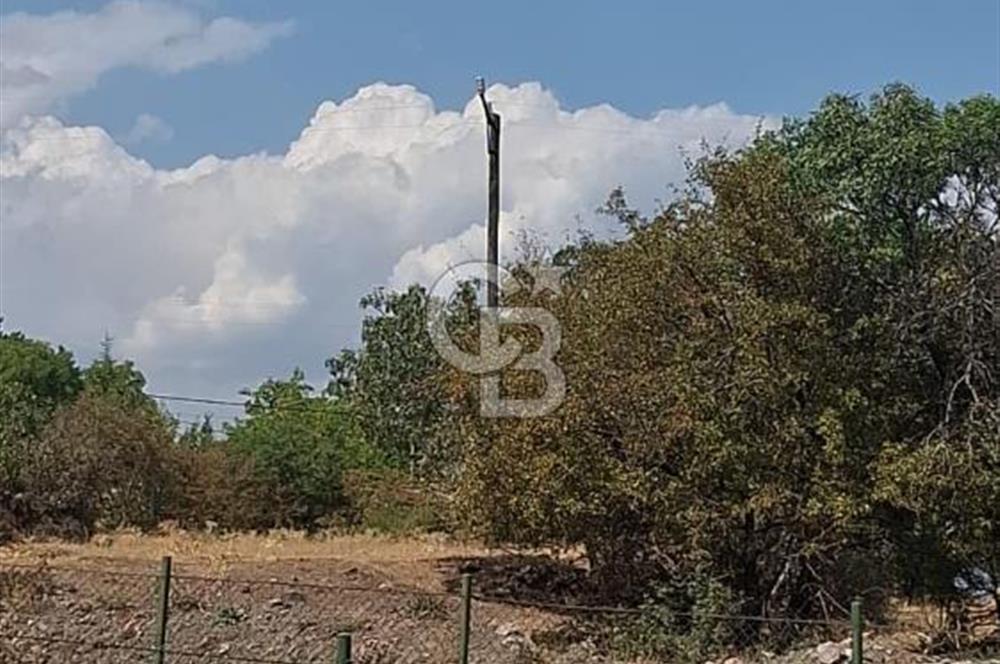 Erzincan Merkezde Satılık Tarla