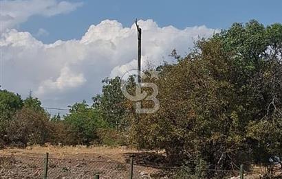 Erzincan Merkezde Satılık Tarla
