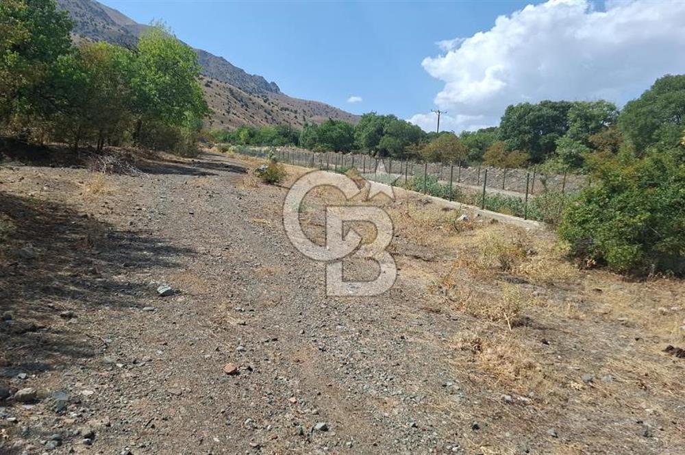 Erzincan Merkezde Satılık Tarla