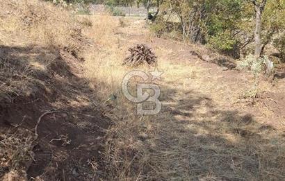 Erzincan Merkezde Satılık Tarla