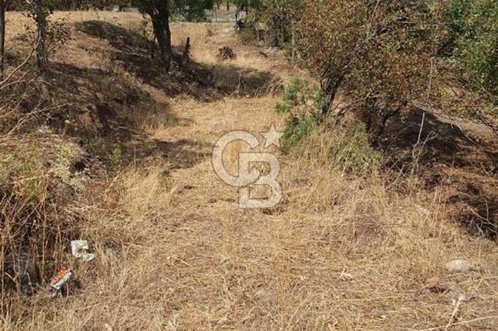 Erzincan Merkezde Satılık Tarla
