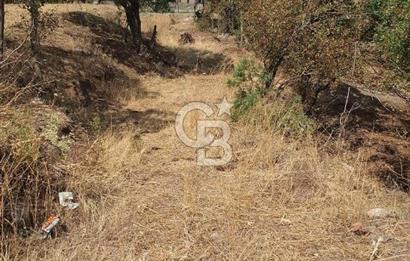 Erzincan Merkezde Satılık Tarla
