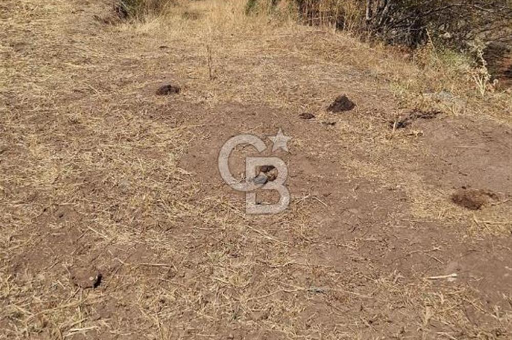 Erzincan Merkezde Satılık Tarla