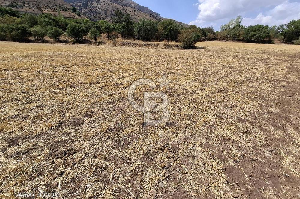 Erzincan Merkezde Satılık Tarla