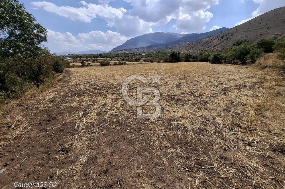 Erzincan Merkezde Satılık Tarla