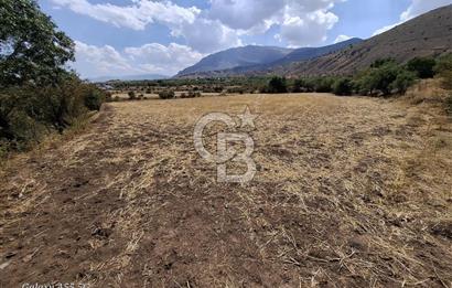 Erzincan Merkezde Satılık Tarla