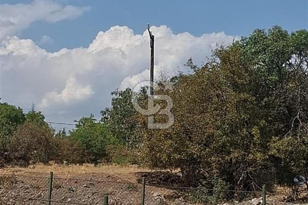 Erzincan Merkezde Satılık Tarla