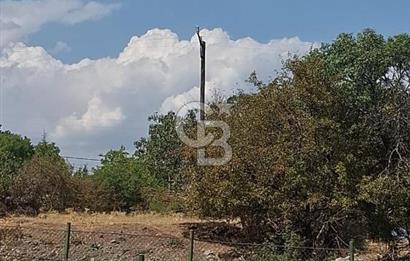 Erzincan Merkezde Satılık Tarla