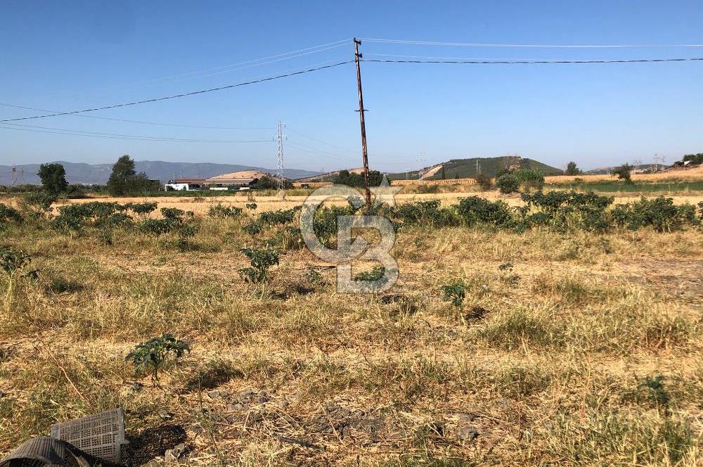 BAYINDIR HAVUZBAŞI NDA SATILIK 10.033 M2 TARLA