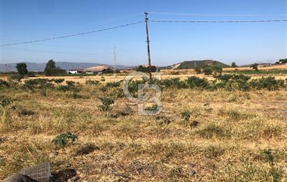 BAYINDIR HAVUZBAŞI NDA SATILIK 10.033 M2 TARLA