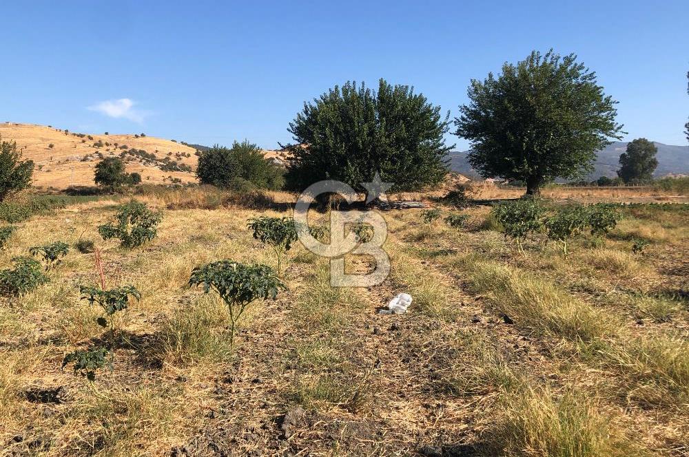 BAYINDIR HAVUZBAŞI NDA SATILIK 10.033 M2 TARLA