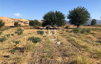 BAYINDIR HAVUZBAŞI NDA SATILIK 10.033 M2 TARLA