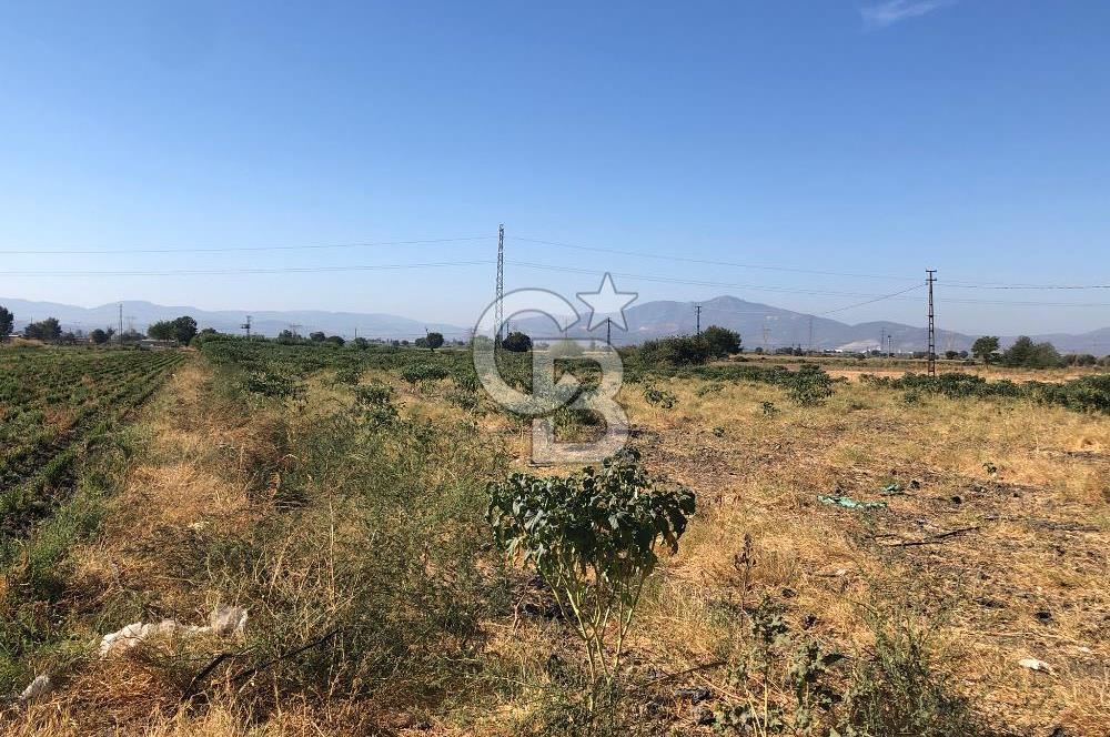 BAYINDIR HAVUZBAŞI NDA SATILIK 10.033 M2 TARLA