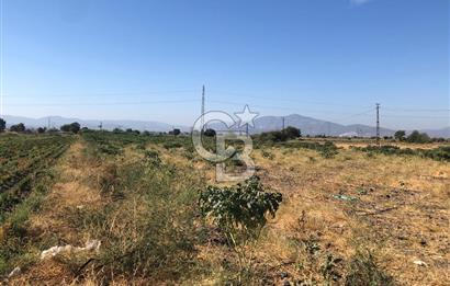 BAYINDIR HAVUZBAŞI NDA SATILIK 10.033 M2 TARLA