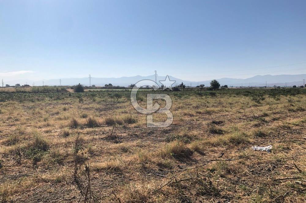 BAYINDIR HAVUZBAŞI NDA SATILIK 10.033 M2 TARLA