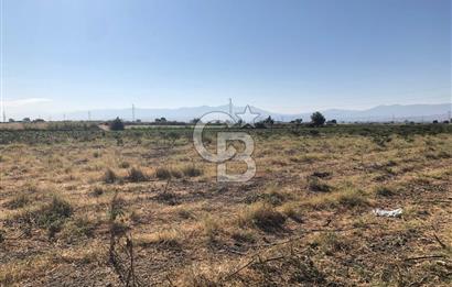 BAYINDIR HAVUZBAŞI NDA SATILIK 10.033 M2 TARLA
