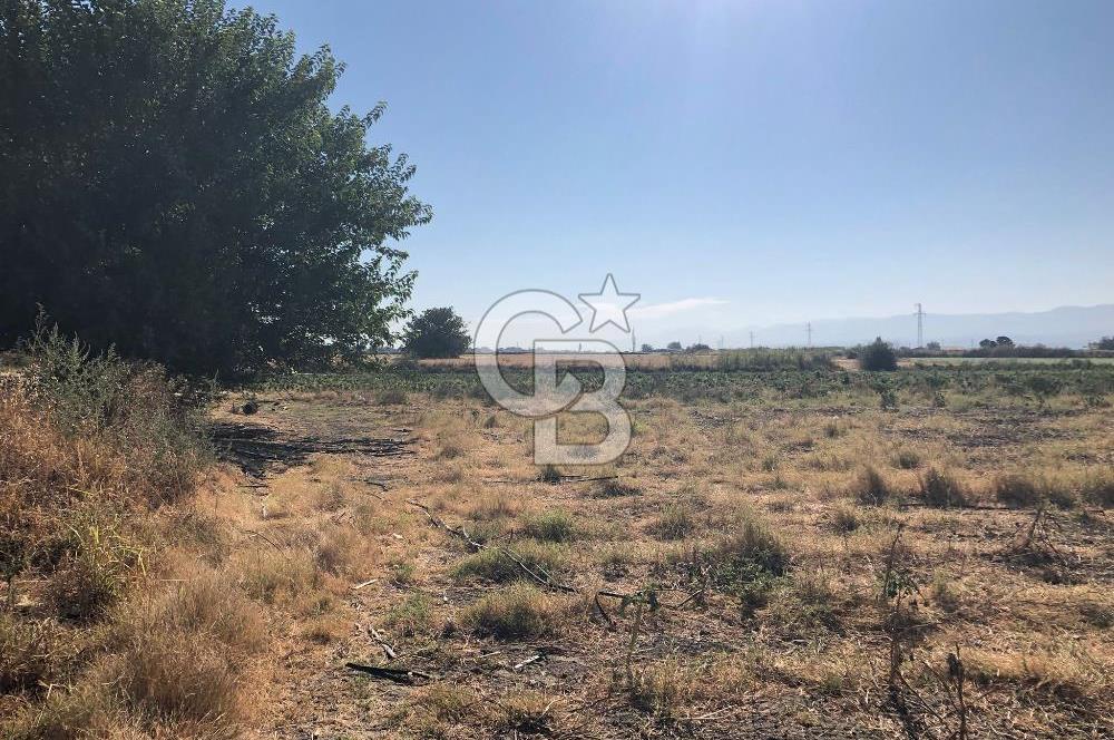 BAYINDIR HAVUZBAŞI NDA SATILIK 10.033 M2 TARLA