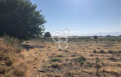 BAYINDIR HAVUZBAŞI NDA SATILIK 10.033 M2 TARLA