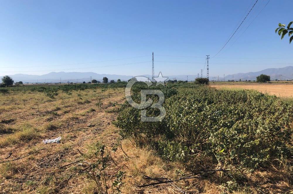 BAYINDIR HAVUZBAŞI NDA SATILIK 10.033 M2 TARLA