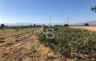 BAYINDIR HAVUZBAŞI NDA SATILIK 10.033 M2 TARLA