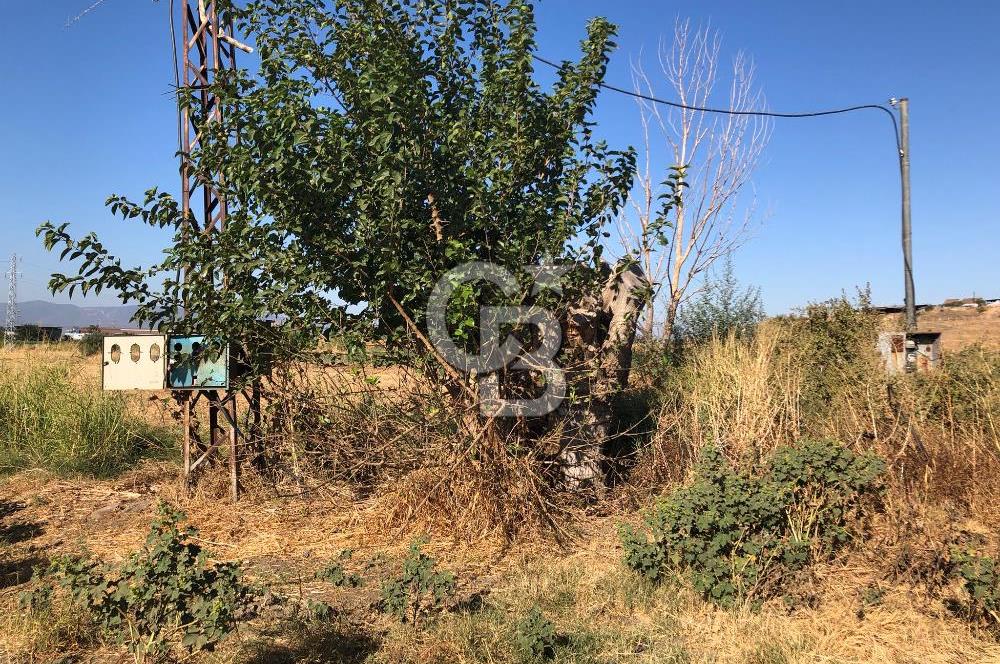 BAYINDIR HAVUZBAŞI NDA SATILIK 10.033 M2 TARLA