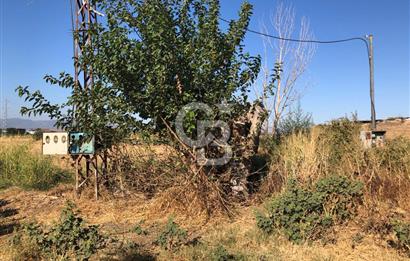 BAYINDIR HAVUZBAŞI NDA SATILIK 10.033 M2 TARLA