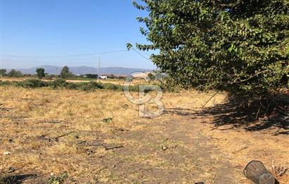 BAYINDIR HAVUZBAŞI NDA SATILIK 10.033 M2 TARLA
