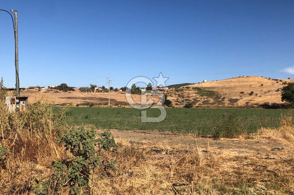BAYINDIR HAVUZBAŞI NDA SATILIK 10.033 M2 TARLA