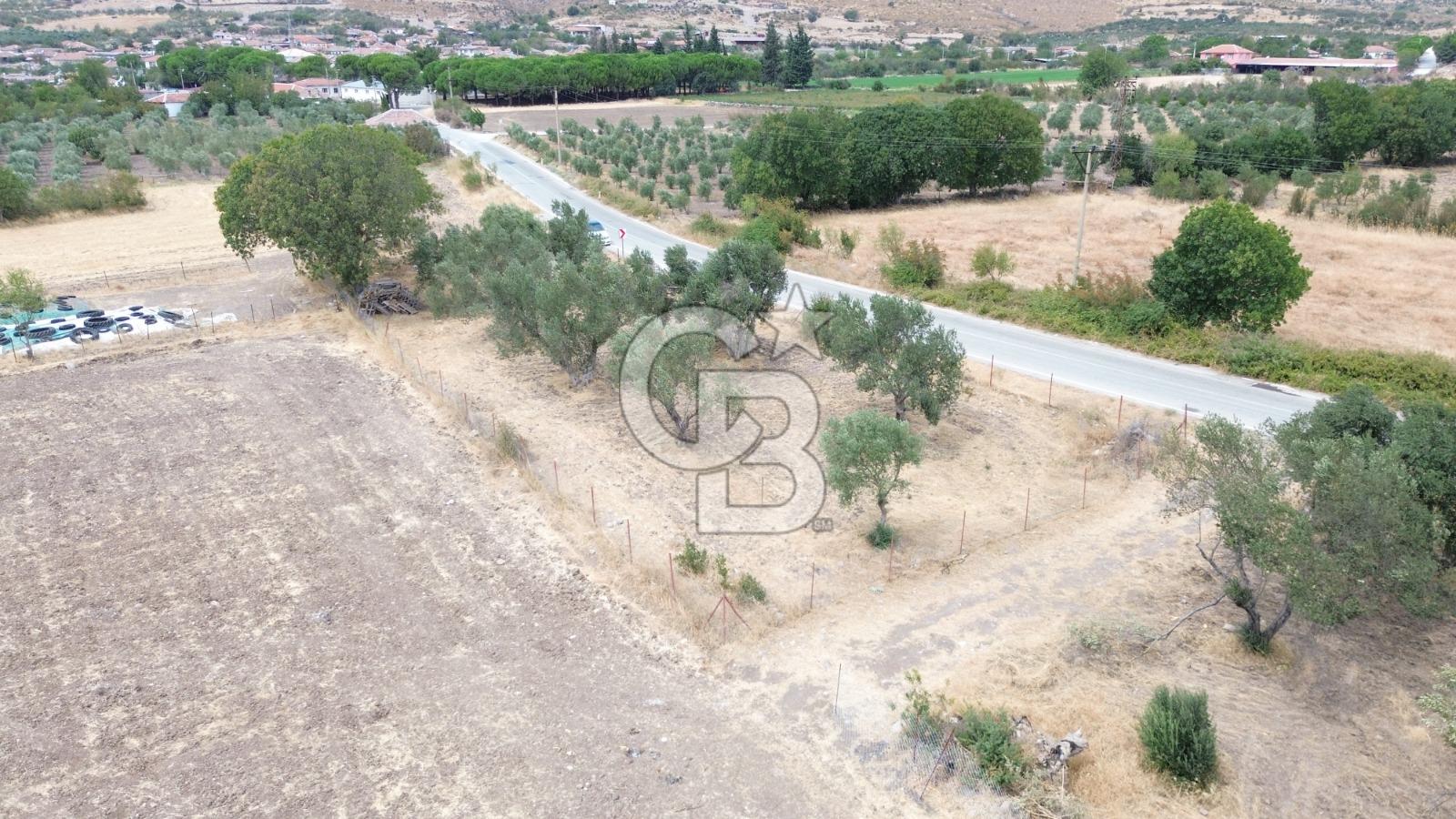 BERGAMA ALİBEYLİ'DE YOLA CEPHE TEL ÖRGÜLÜ TEK TAPU 1240 M2 TARLA