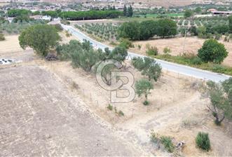 BERGAMA ALİBEYLİ'DE YOLA CEPHE TEL ÖRGÜLÜ TEK TAPU 1240 M2 TARLA