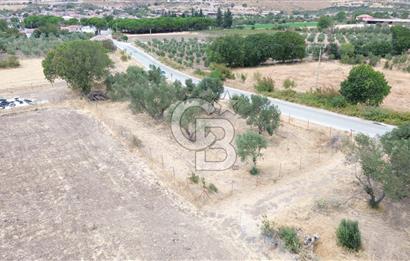 BERGAMA ALİBEYLİ'DE YOLA CEPHE TEL ÖRGÜLÜ TEK TAPU 1240 M2 TARLA
