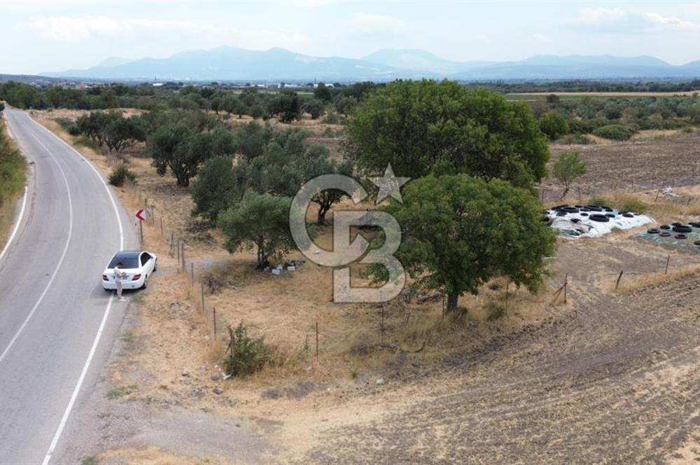 BERGAMA ALİBEYLİ'DE YOLA CEPHE TEL ÖRGÜLÜ TEK TAPU 1240 M2 TARLA