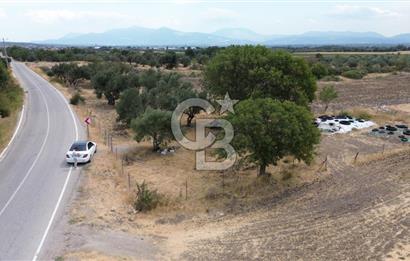 BERGAMA ALİBEYLİ'DE YOLA CEPHE TEL ÖRGÜLÜ TEK TAPU 1240 M2 TARLA