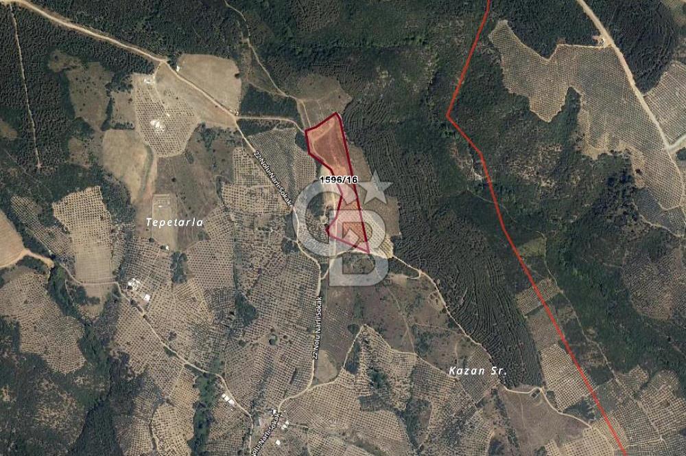 CB EAGLE'dan NARLI'DA 19.944 m² SATILIK SOSYAL TESİS İMARLI ARSA