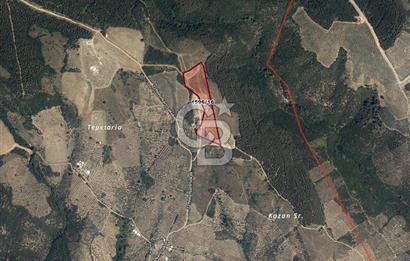 CB EAGLE'dan NARLI'DA 19.944 m² SATILIK SOSYAL TESİS İMARLI ARSA