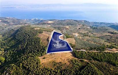 CB EAGLE'dan NARLI'DA 19.944 m² SATILIK SOSYAL TESİS İMARLI ARSA