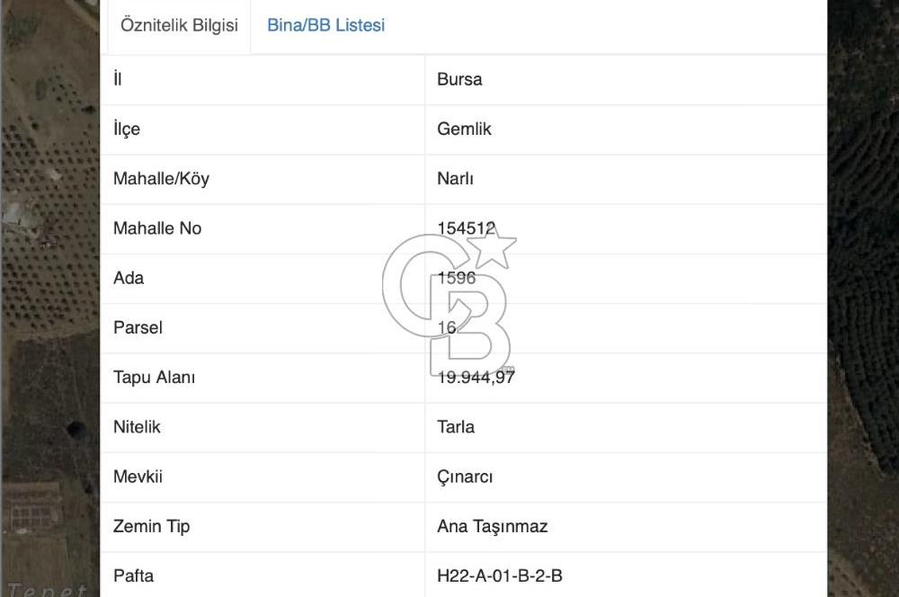 CB EAGLE'dan NARLI'DA 19.944 m² SATILIK SOSYAL TESİS İMARLI ARSA