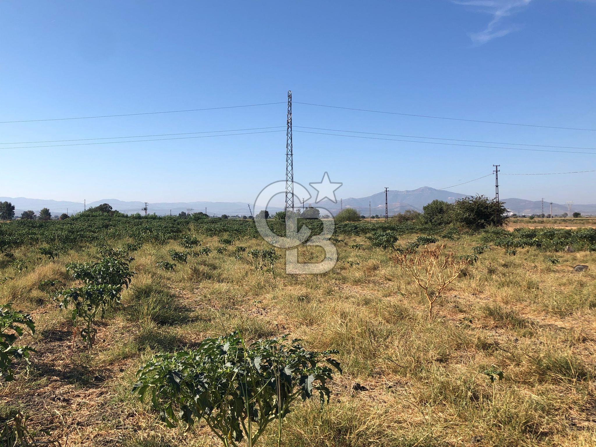 BAYINDIR HAVUZBAŞI NDA SATILIK 10.033 M2 TARLA