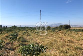 BAYINDIR HAVUZBAŞI NDA SATILIK 10.033 M2 TARLA