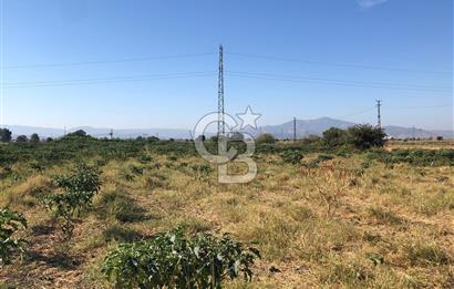 BAYINDIR HAVUZBAŞI NDA SATILIK 10.033 M2 TARLA
