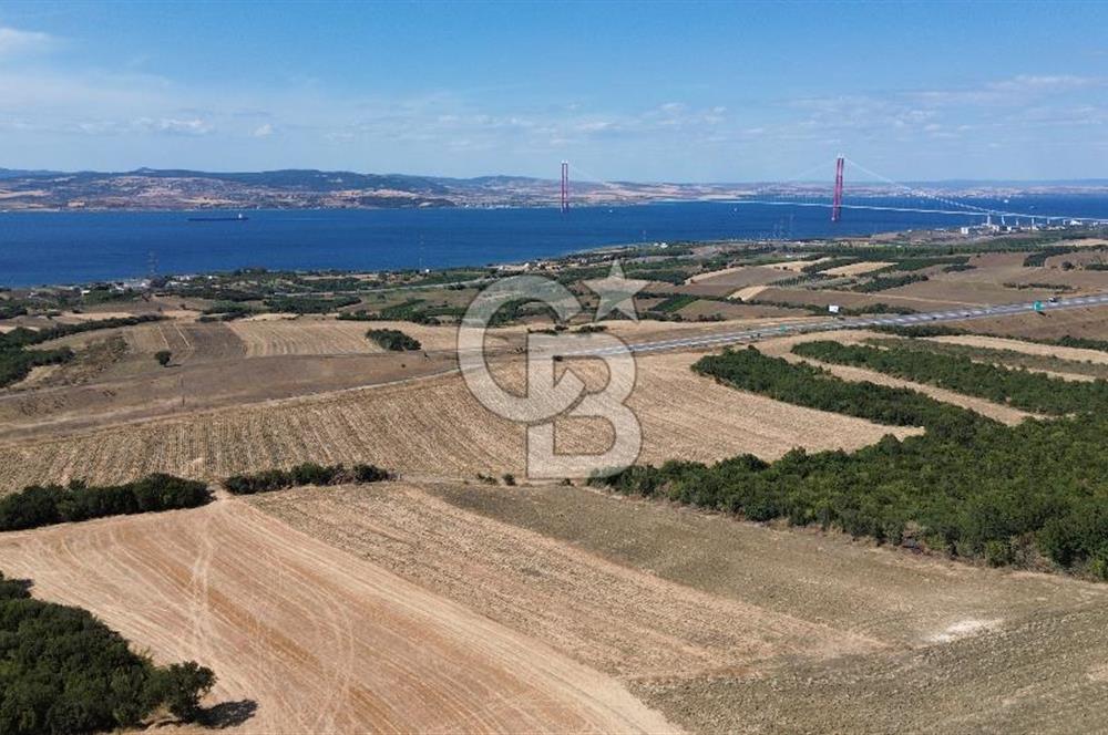ÇANAKKALE LAPSEKİ'DE KÖPRÜ MANZARALI SATILIK TARLA