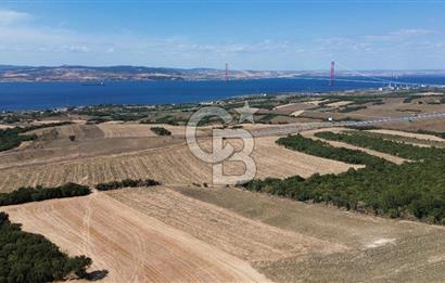 ÇANAKKALE LAPSEKİ'DE KÖPRÜ MANZARALI SATILIK TARLA