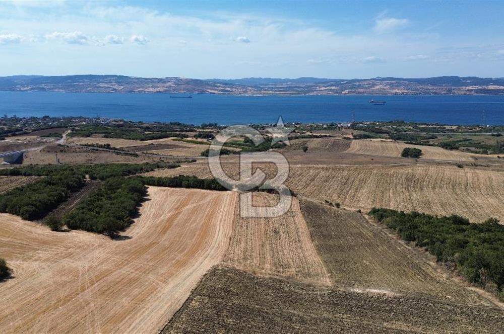 ÇANAKKALE LAPSEKİ'DE KÖPRÜ MANZARALI SATILIK TARLA