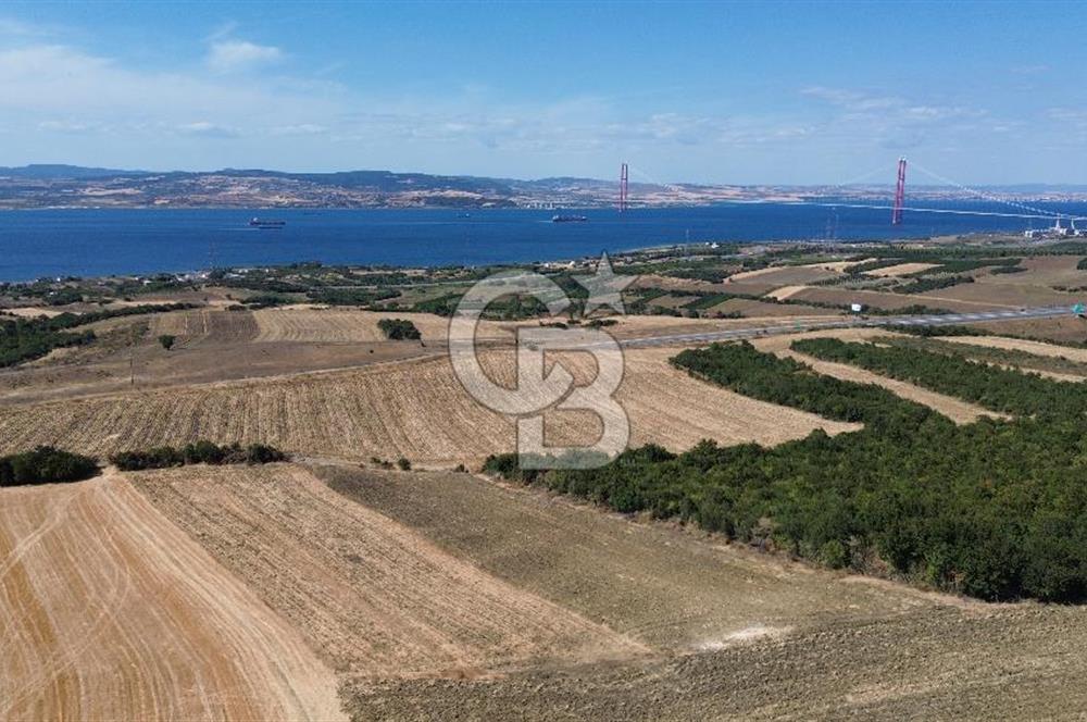 ÇANAKKALE LAPSEKİ'DE KÖPRÜ MANZARALI SATILIK TARLA