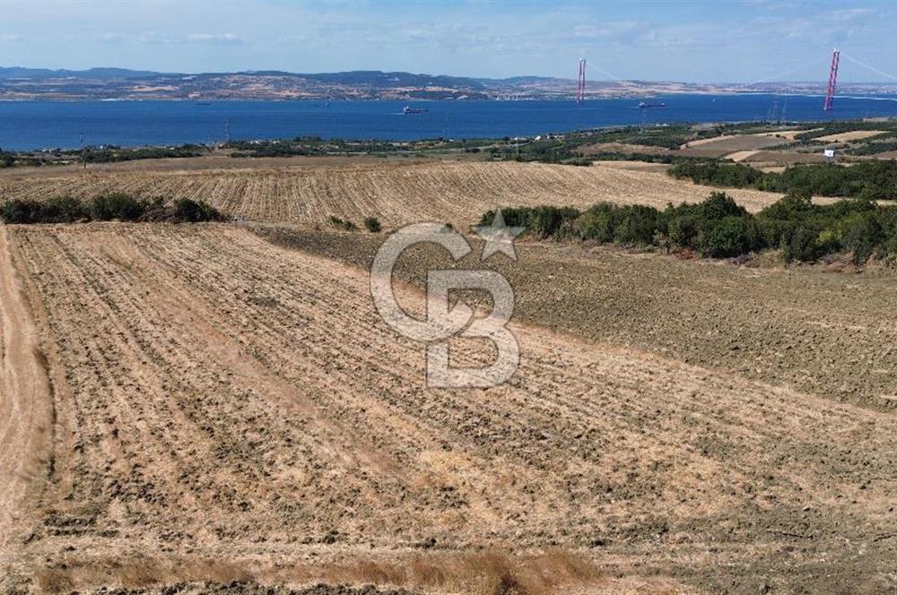 ÇANAKKALE LAPSEKİ'DE KÖPRÜ MANZARALI SATILIK TARLA