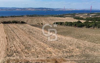 ÇANAKKALE LAPSEKİ'DE KÖPRÜ MANZARALI SATILIK TARLA