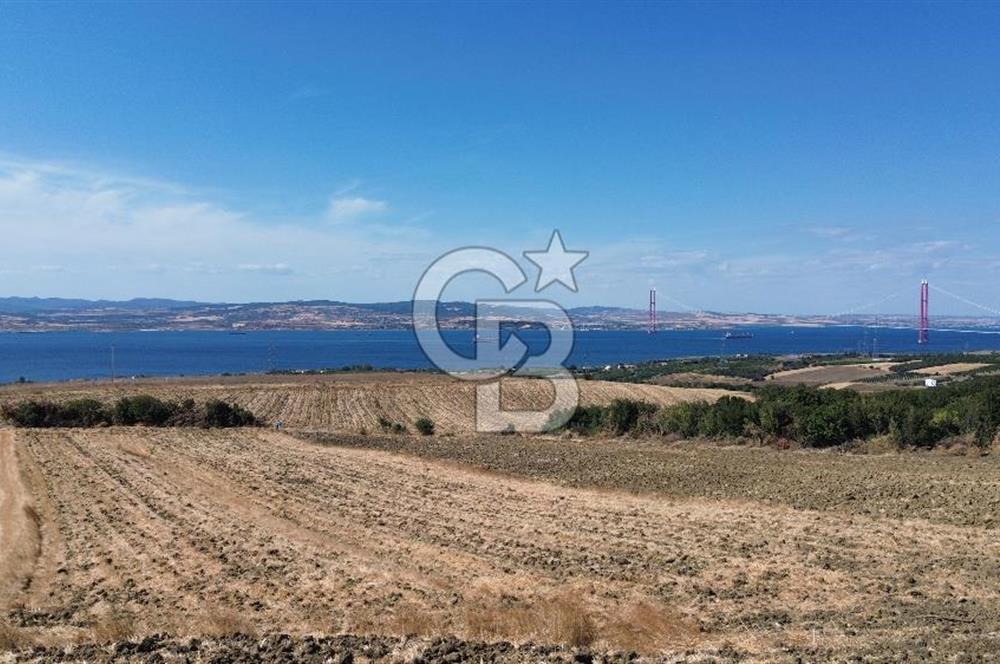 ÇANAKKALE LAPSEKİ'DE KÖPRÜ MANZARALI SATILIK TARLA